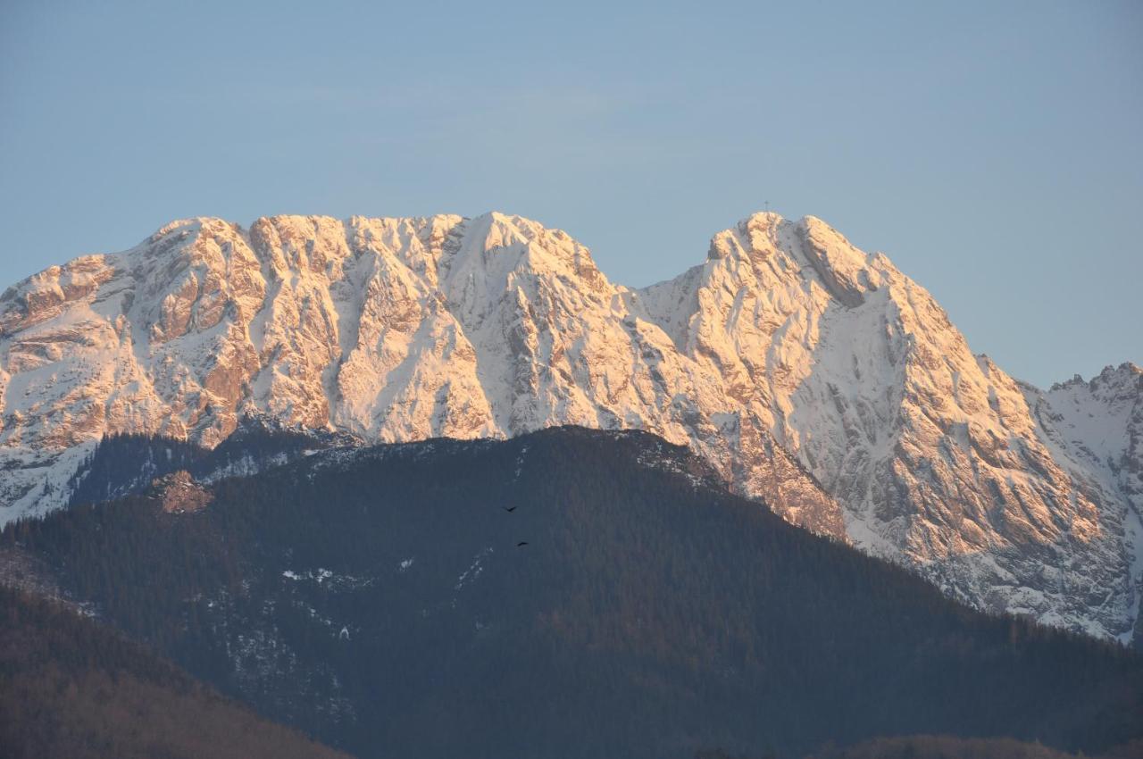 Willa Bystry, Pod Nosalem Zakopane Kültér fotó