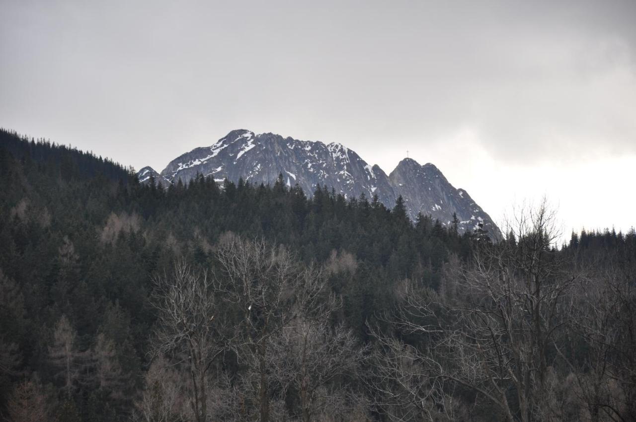Willa Bystry, Pod Nosalem Zakopane Kültér fotó